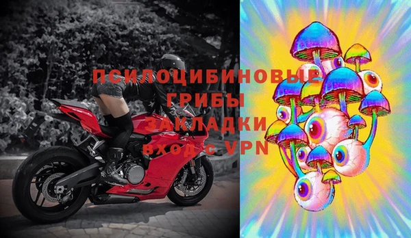 первитин Осинники