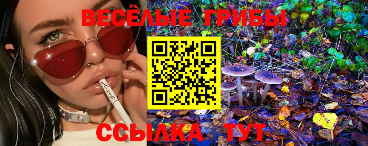 Псилоцибиновые грибы Psilocybine cubensis  Вход с VPN  Бирск 